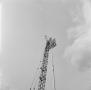 Photograph: [Stadium lights at Fouts Field, 9]