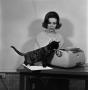 Photograph: [Photograph of a woman with a cat #5]