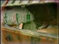 Video: [News Clip: Garbage truck]