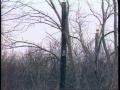 Video: [News Clip: Utility theft]