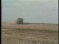 Primary view of [News Clip: Wheat gult]