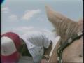 Video: [News Clip: Horse race]