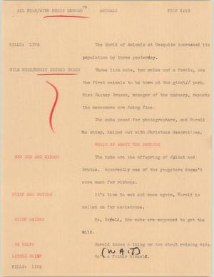 Primary view of object titled '[News Script: Animals]'.