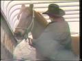 Primary view of [News Clip: Stock show]