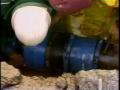 Video: [News Clip: Water pipes]