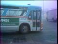 Video: [News Clip: Buses]