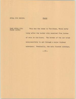 Primary view of object titled '[News Script: Flood]'.