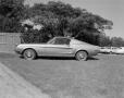 Photograph: [Ford Mustang parked in the grass]
