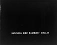 Photograph: ["Mocking Bird Rambler - Dallas" slide]
