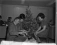 Photograph: [A man and two women by a Christmas tree]