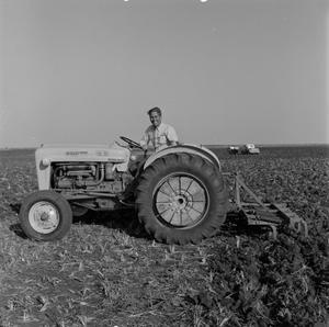Primary view of object titled '[Man on a Ford 4000 tractor]'.