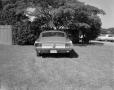 Photograph: [Back view of a Ford Mustang]