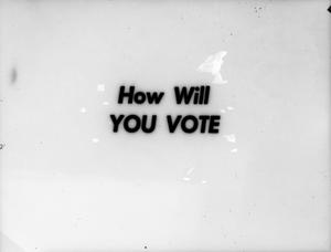 Primary view of object titled '[How will you vote slides]'.