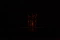 Thumbnail image of item number 1 in: '[Photograph of figures on a dark stage]'.
