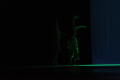 Primary view of [Photograph of a dancer illuminated by green lights]