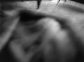 Photograph: [Blurred photograph of cloth, 4]