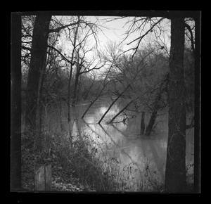 Primary view of object titled '[A swamp surrounded by trees]'.