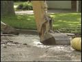 Video: [News Clip: Fort Worth Water Main Breaks]