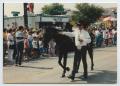 Photograph: [Color photograph of a man walking a black horse through a parade]