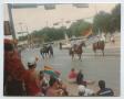 Photograph: [Photograph of three horses in a Pride parade]