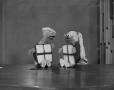 Photograph: [Two turtle puppets]