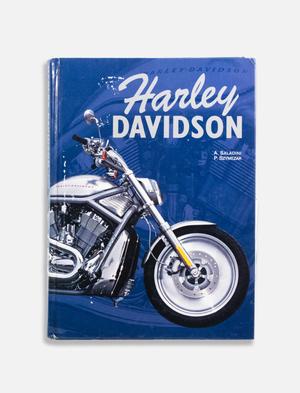 Primary view of object titled '[Harley Davidson by Albert Saladini and Pascal Szymezak]'.