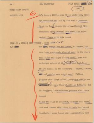 Primary view of object titled '[News Script: New Braunfels]'.
