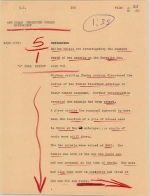 Primary view of object titled '[News Script: Zoo]'.