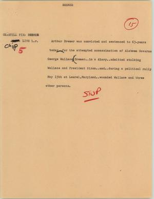 Primary view of object titled '[News Script: Bremer]'.