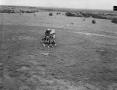 Photograph: [Horse-drawn carriage in a field]