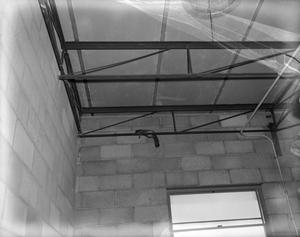 Primary view of object titled '[Photo of a squirrel on the ceiling]'.