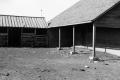 Photograph: [Photograph of an old barn]