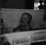 Photograph: [Photograph of Paul Stiles in a bassinet]