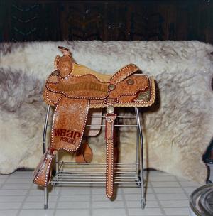 Primary view of object titled '[Country Gold saddle]'.
