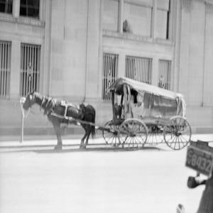 Primary view of object titled '[A horse and carriage in the street]'.