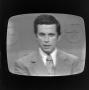 Photograph: [A reporter on a television screen]