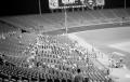 Photograph: [Individuals at Arlington Stadium, 2]