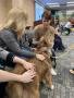 Thumbnail image of item number 1 in: '[Jodi Rhinehart-Doty and Rachael Zipperer petting therapy dog]'.