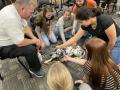 Thumbnail image of item number 1 in: '[Group petting therapy dog]'.