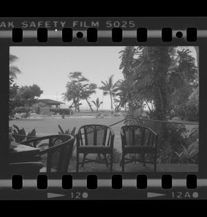Black and white photo on film paper of a patio, palm trees behind them.