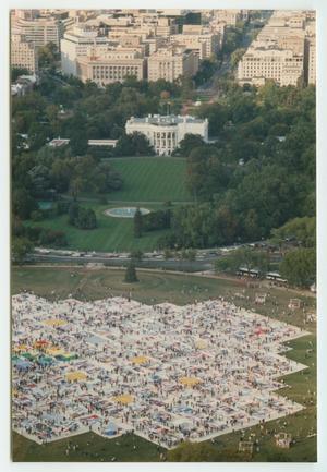 Primary view of object titled '[Aerial view of the AIDS Memorial quilt, 1989]'.