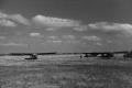 Photograph: [Photograph of airplanes parked in a field]