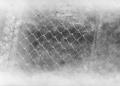 Photograph: [Photograph of chain-link fencing]