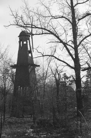 Primary view of object titled '[Photograph of a windmill in the woods]'.