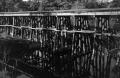 Photograph: [Photograph of a timber train trestle]