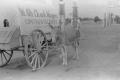 Photograph: [Photograph of a donkey tied to a covered wagon]