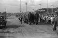 Photograph: [Photograph of elephants at a circus]