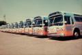 Photograph: [Transit buses]