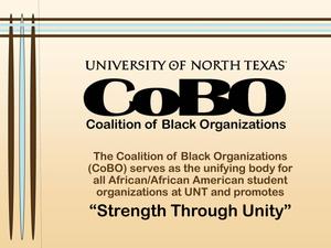 Primary view of object titled '[Coalition of Black Organizations 2006-2007 slideshow]'.