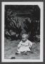 Photograph: [Photograph of a baby sitting outside]